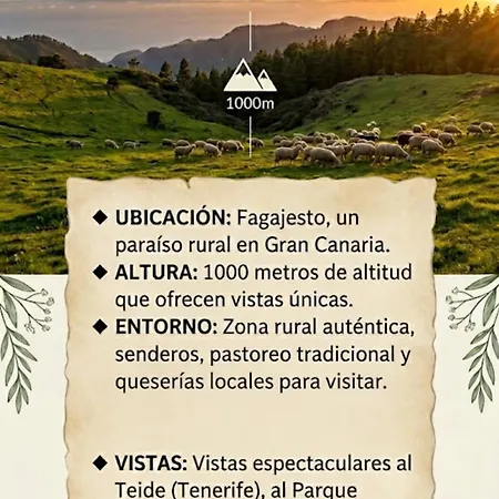 Cho Rafael * Gáldar